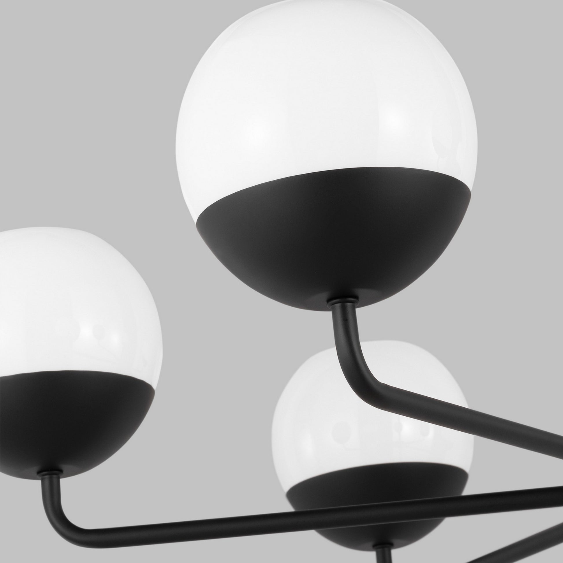 Alvin 38" 6-Light Chandelier, Midnight Black Finish - Bees Lighting
