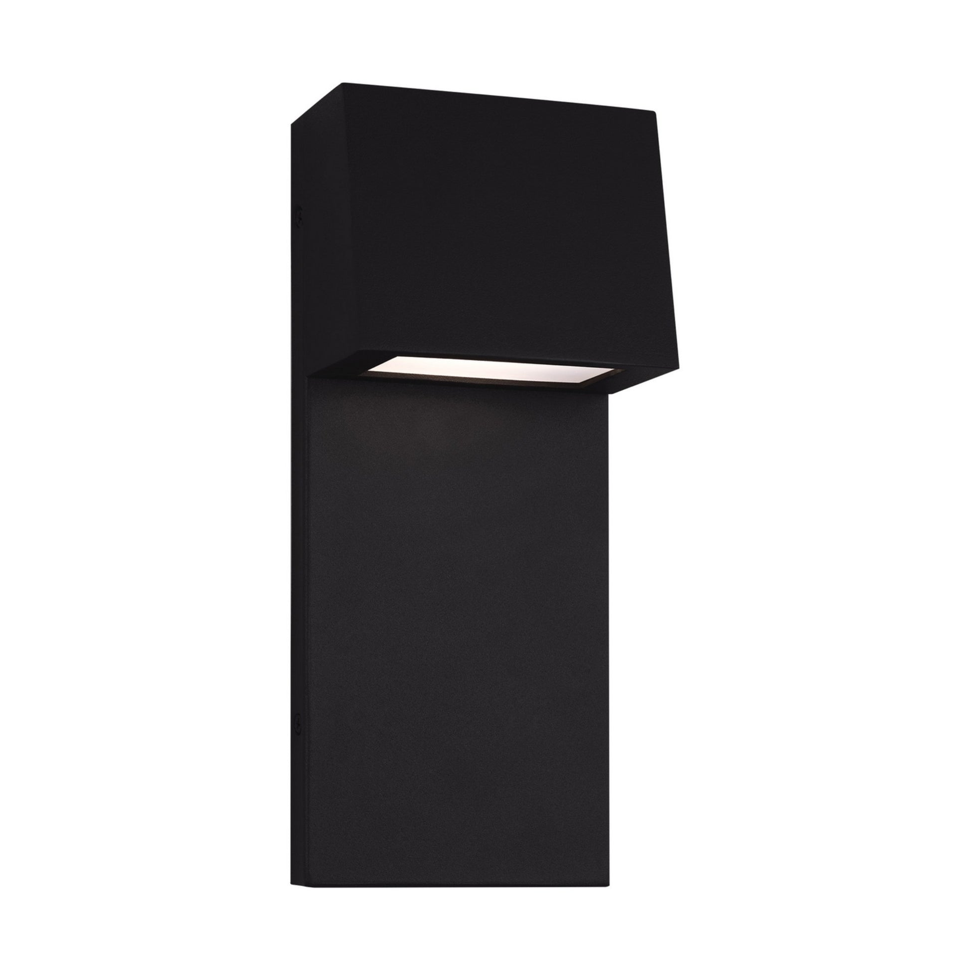 Rocha 12" Small LED Outdoor Wall Lantern, Black Finish - Bees Lighting
