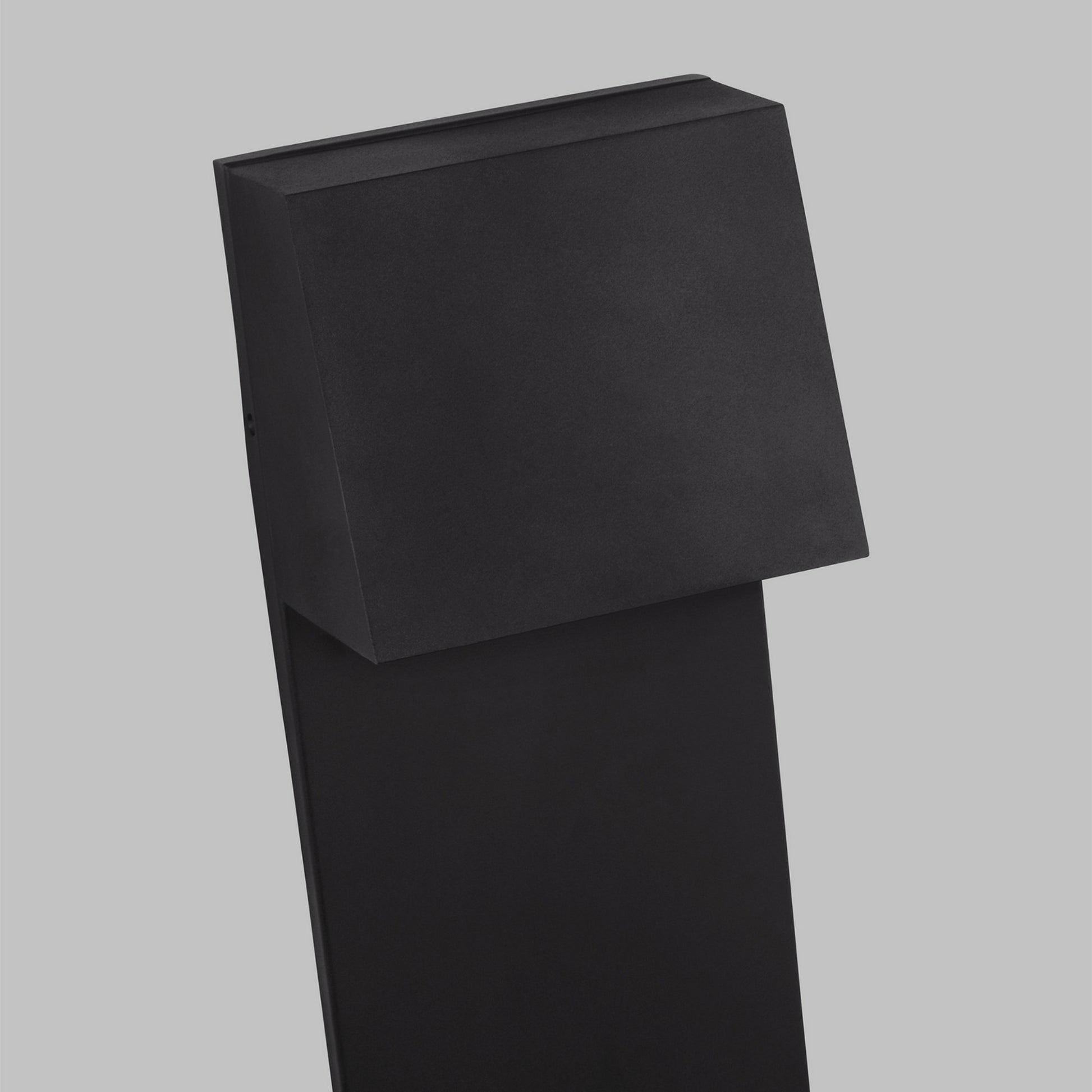 Rocha 20" Large LED Outdoor Wall Lantern, Black Finish - Bees Lighting
