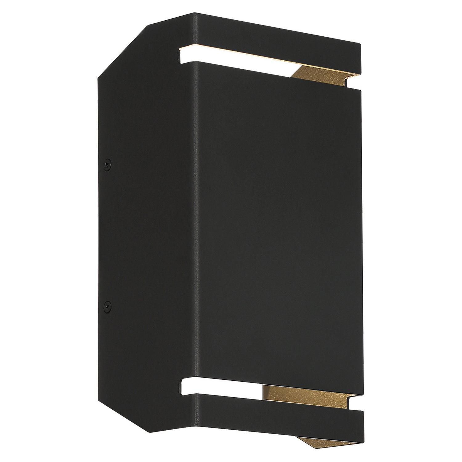 La Vida LED Outdoor Wall Scocne - Bees Lighting