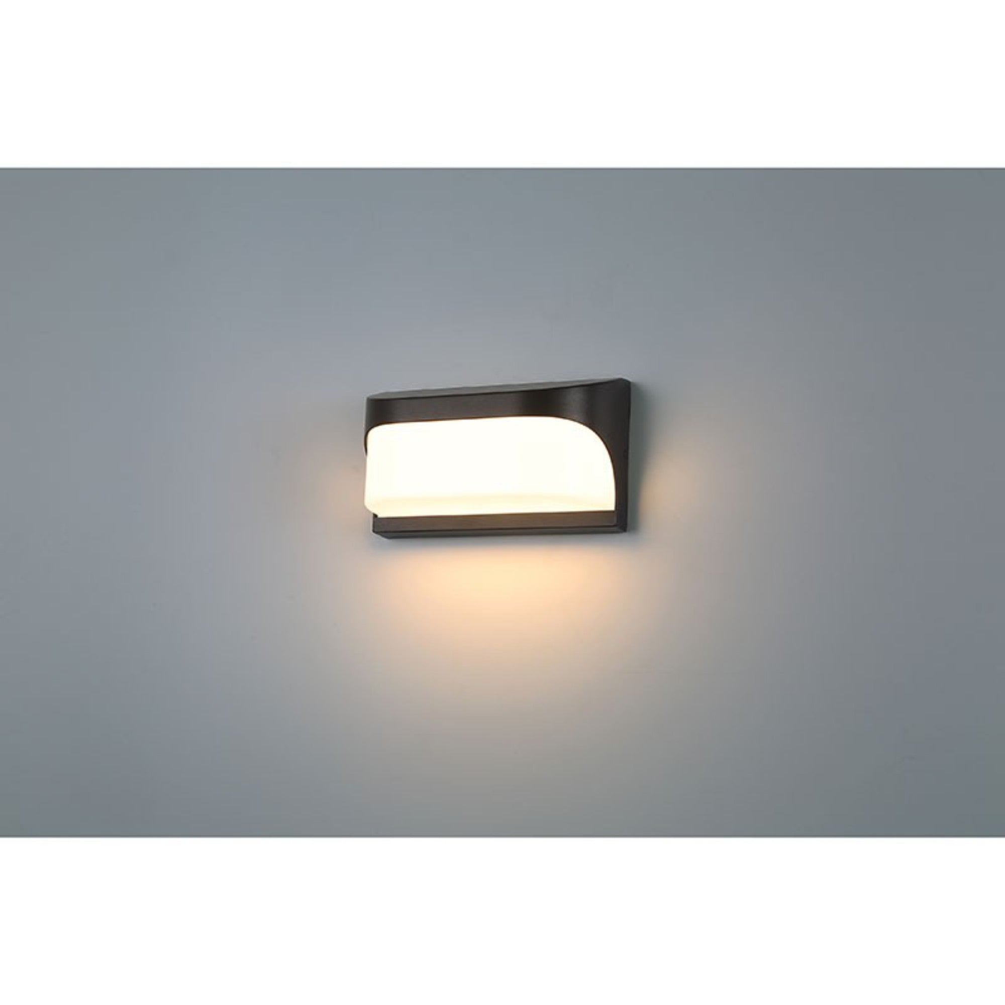 Laguna 9" LED Outdoor Wall Sconce, Black Finish - Bees Lighting