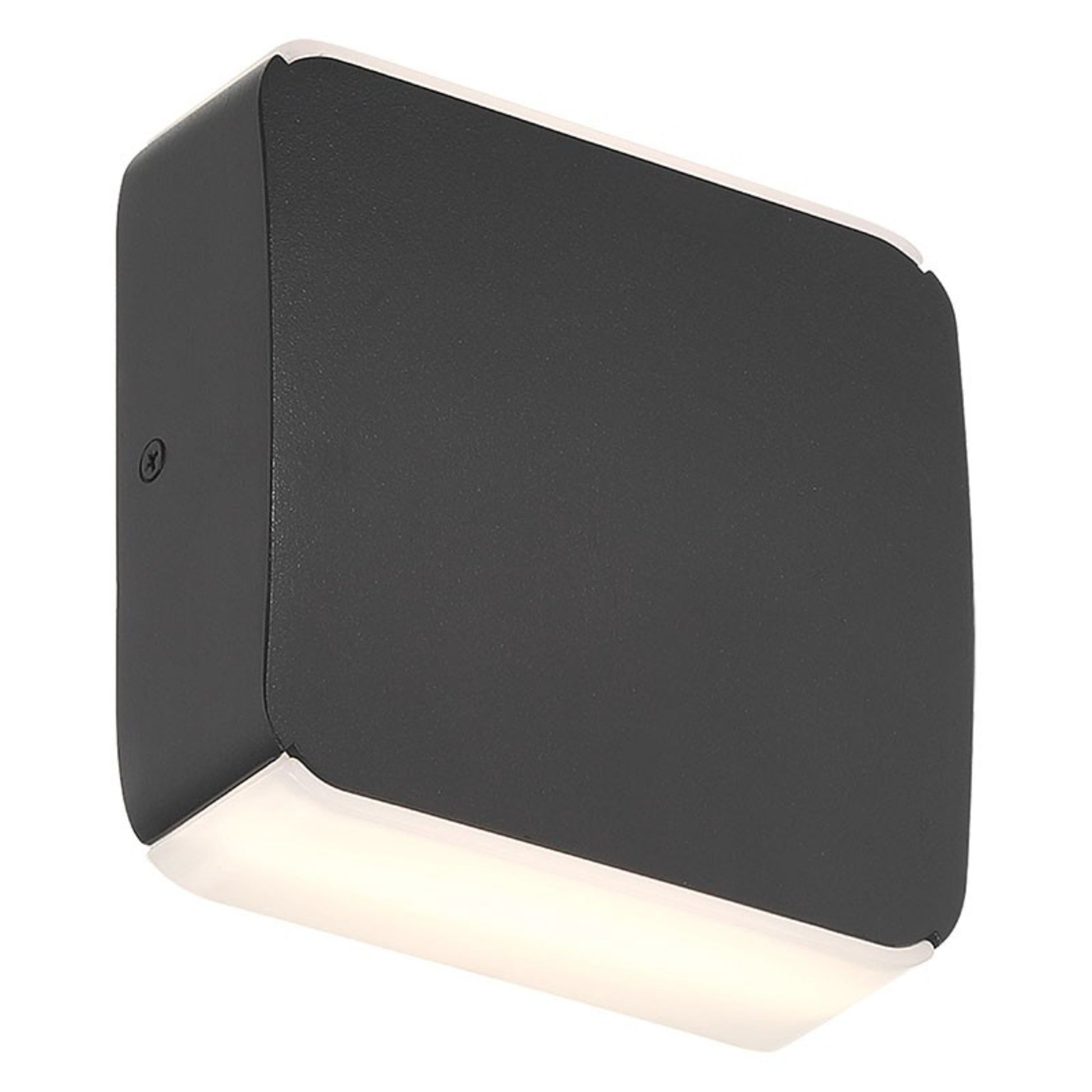 Newport 6" LED Outdoor Wall Sconce, Black Finish - Bees Lighting