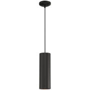 Pilson 15" LED Pendant, Matte Black Finish, Cord - Bees Lighting