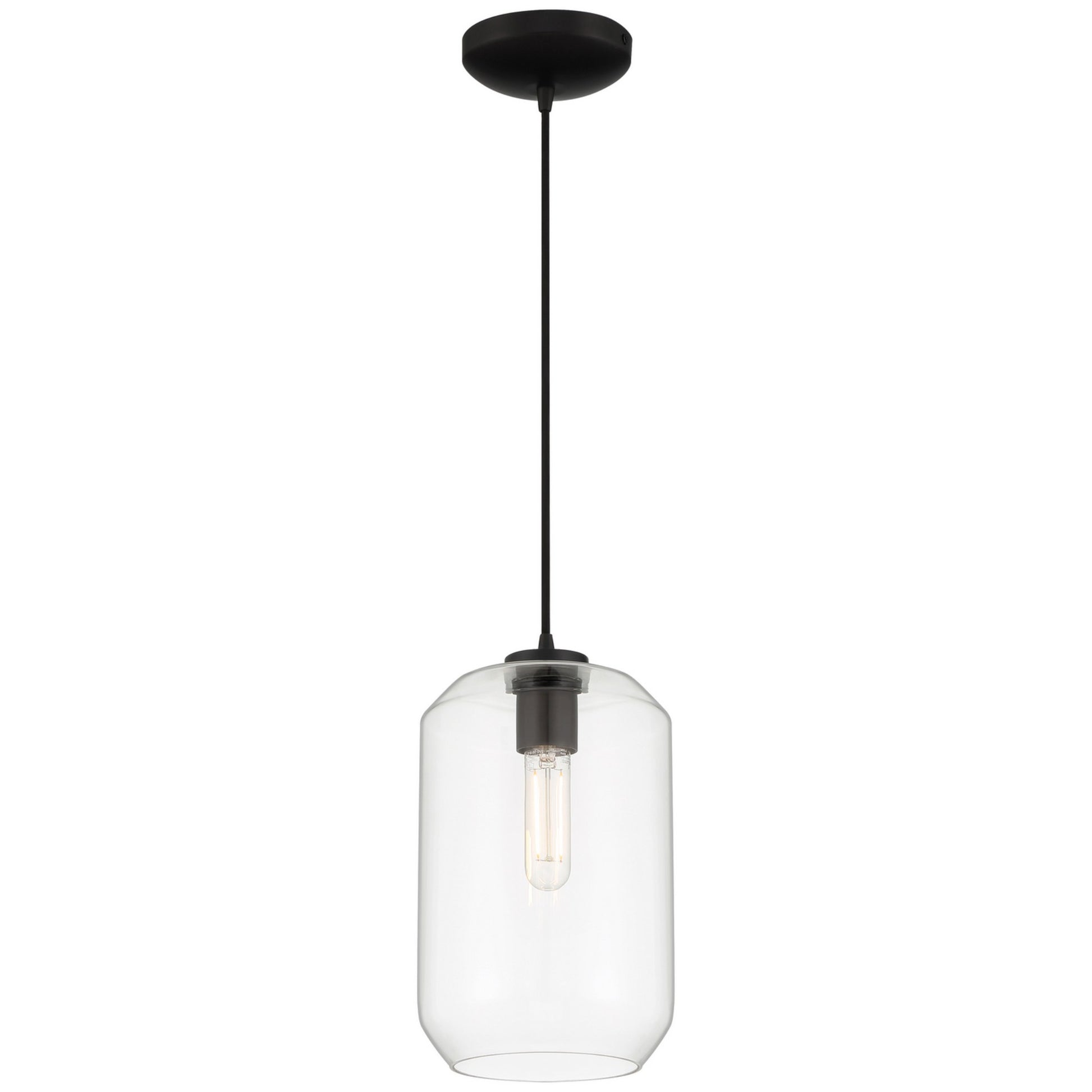 Clarity 12" LED Pendant, Black Finish - Bees Lighting