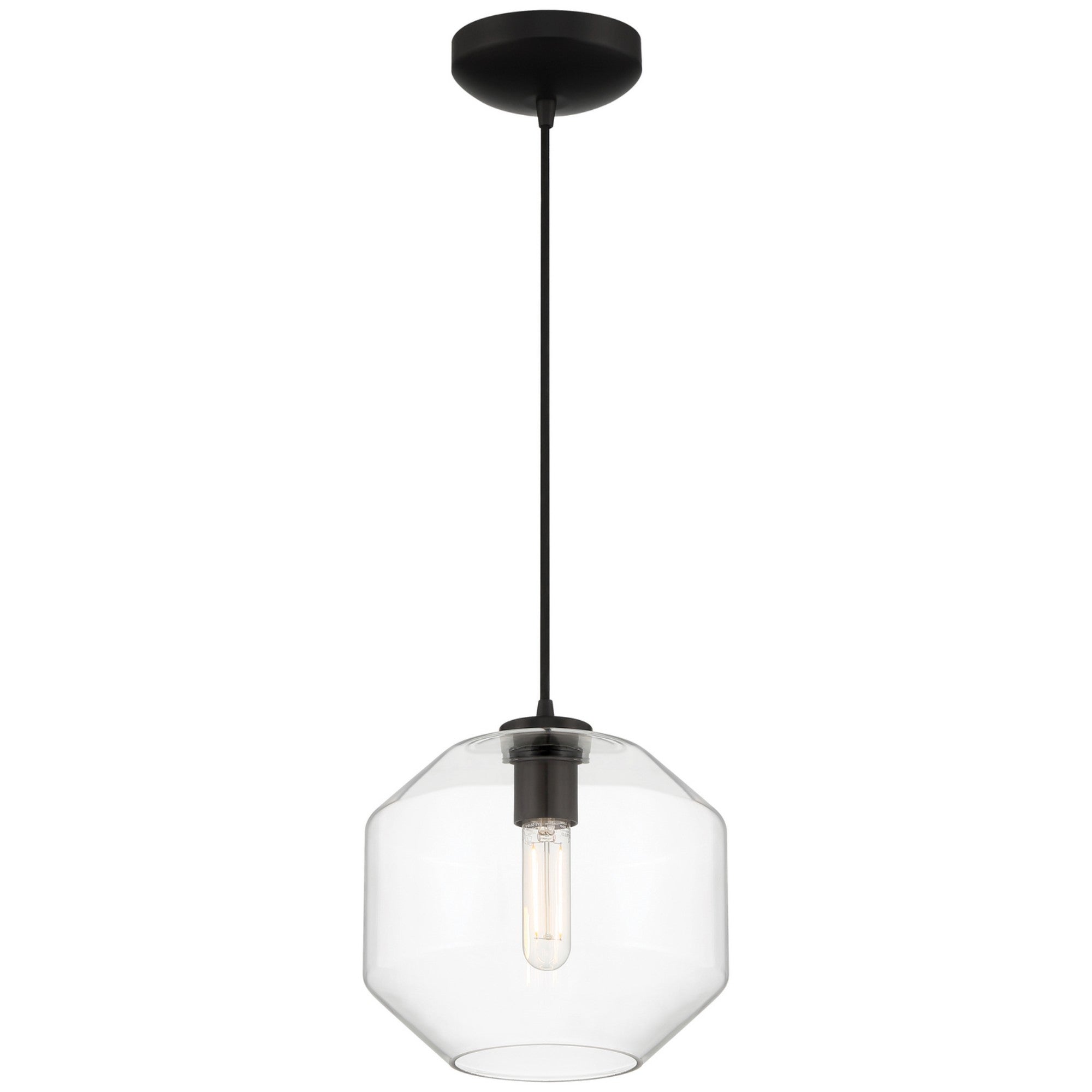 Clarity 10" LED Pendant, Black Finish