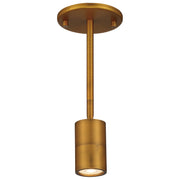 Cafe Dual Mount 4" LED Wall/Ceiling Spotlight, Antique Brushed Brass Finish - Bees Lighting