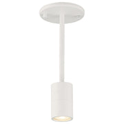 Cafe Dual Mount 4" LED Wall/Ceiling Spotlight, Matte White Finish - Bees Lighting