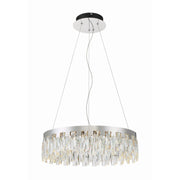 Curio LED Pendant Light - Bees Lighting