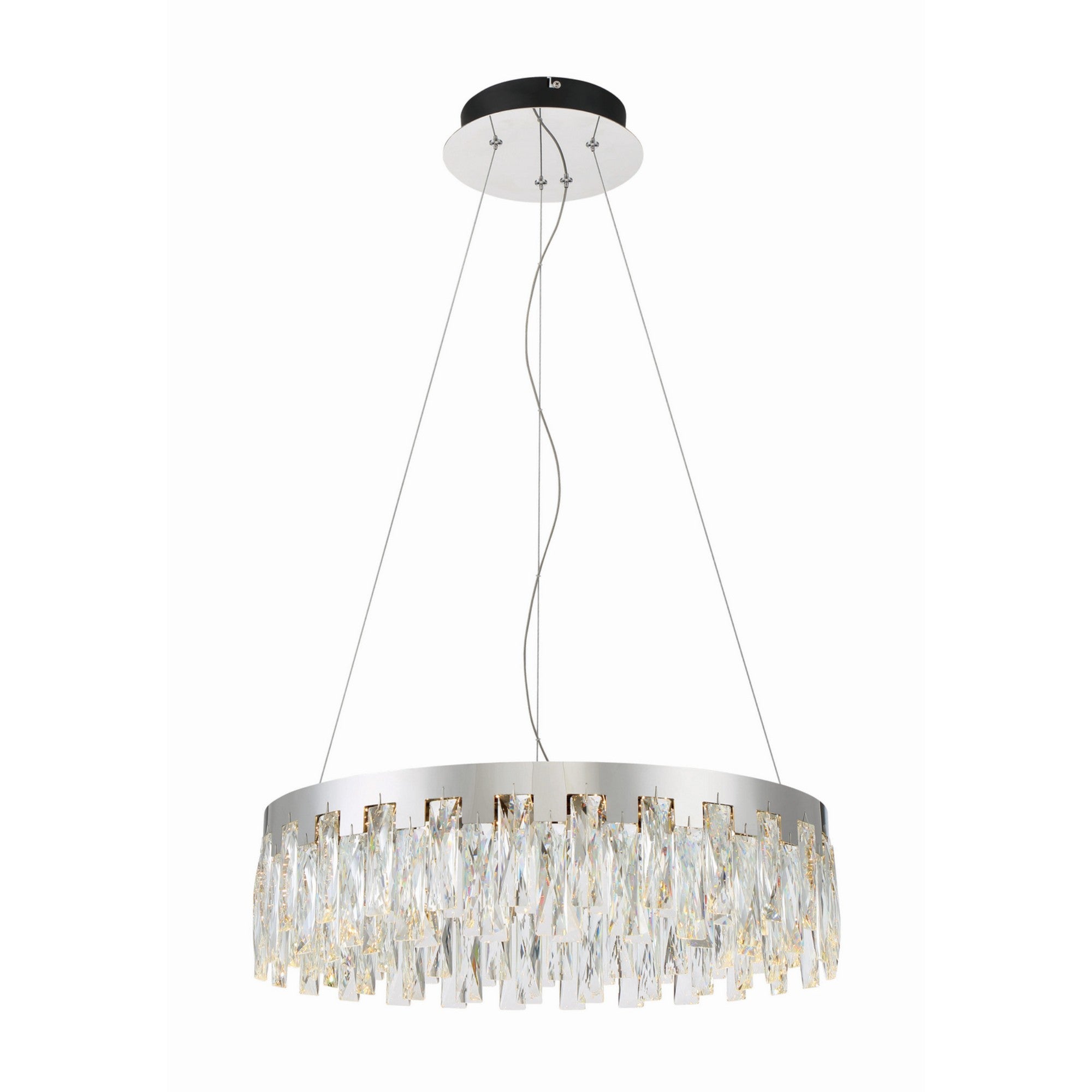 Curio LED Pendant Light - Bees Lighting