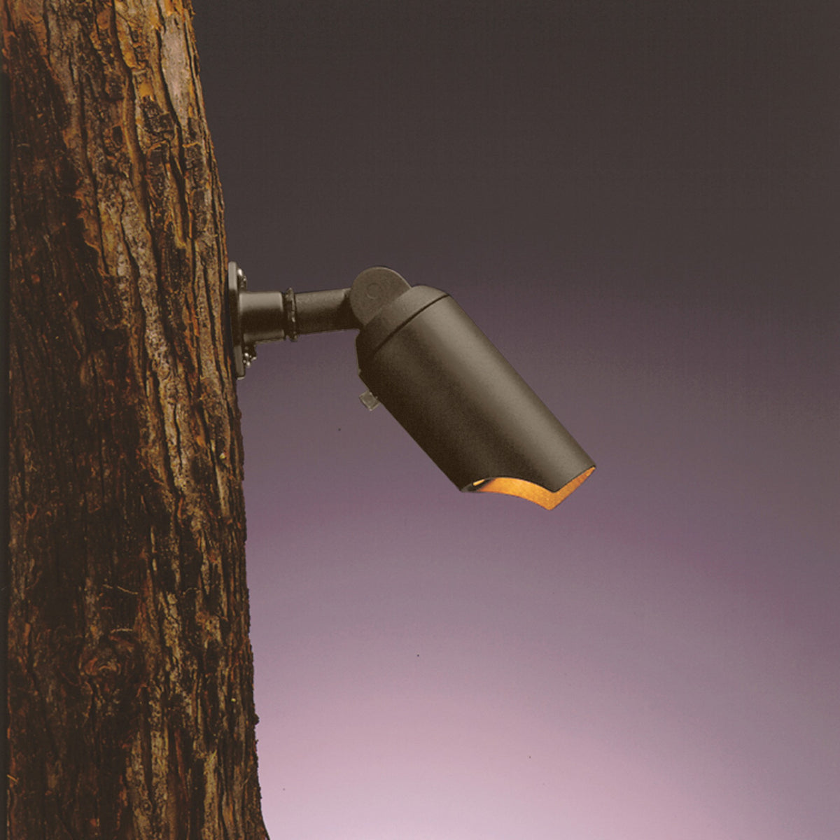 Textured bronze wall-mounted spotlight with adjustable cone head and warm light beam