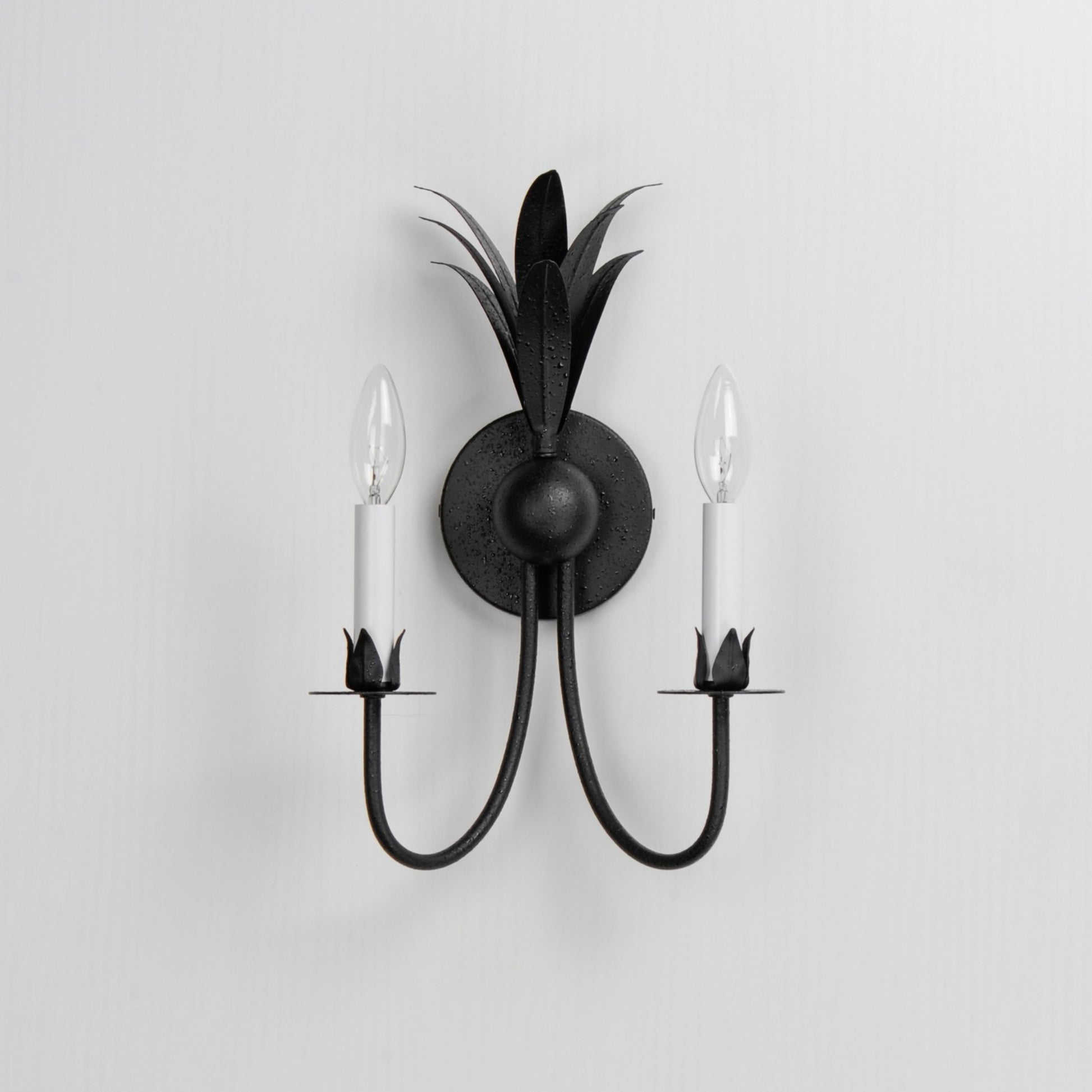 Paloma 16" 2 Lights Armed Sconce, Black Finish - Bees Lighting