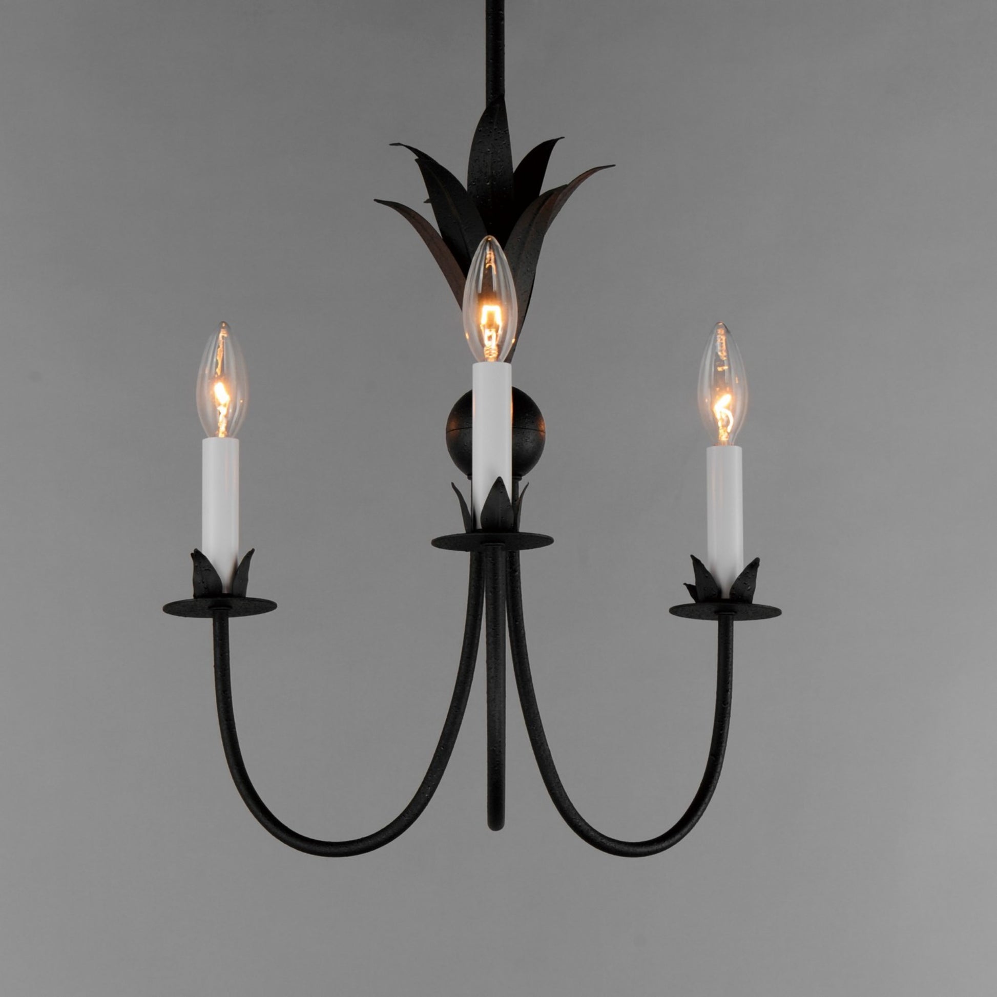 Paloma 16" 3 Lights Chandelier, Black Finish - Bees Lighting