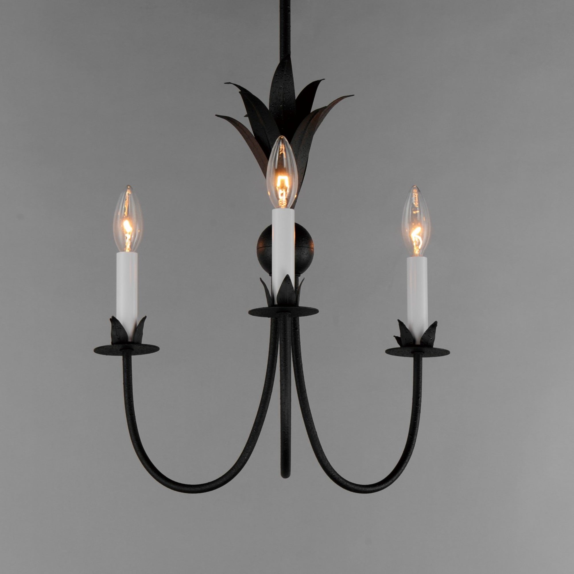 Paloma 16" 3 Lights Chandelier, Black Finish - Bees Lighting