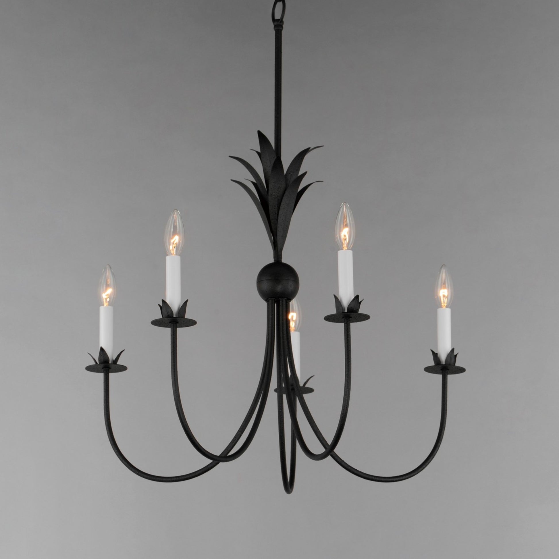 Paloma 26" 5 Lights Chandelier, Black Finish - Bees Lighting
