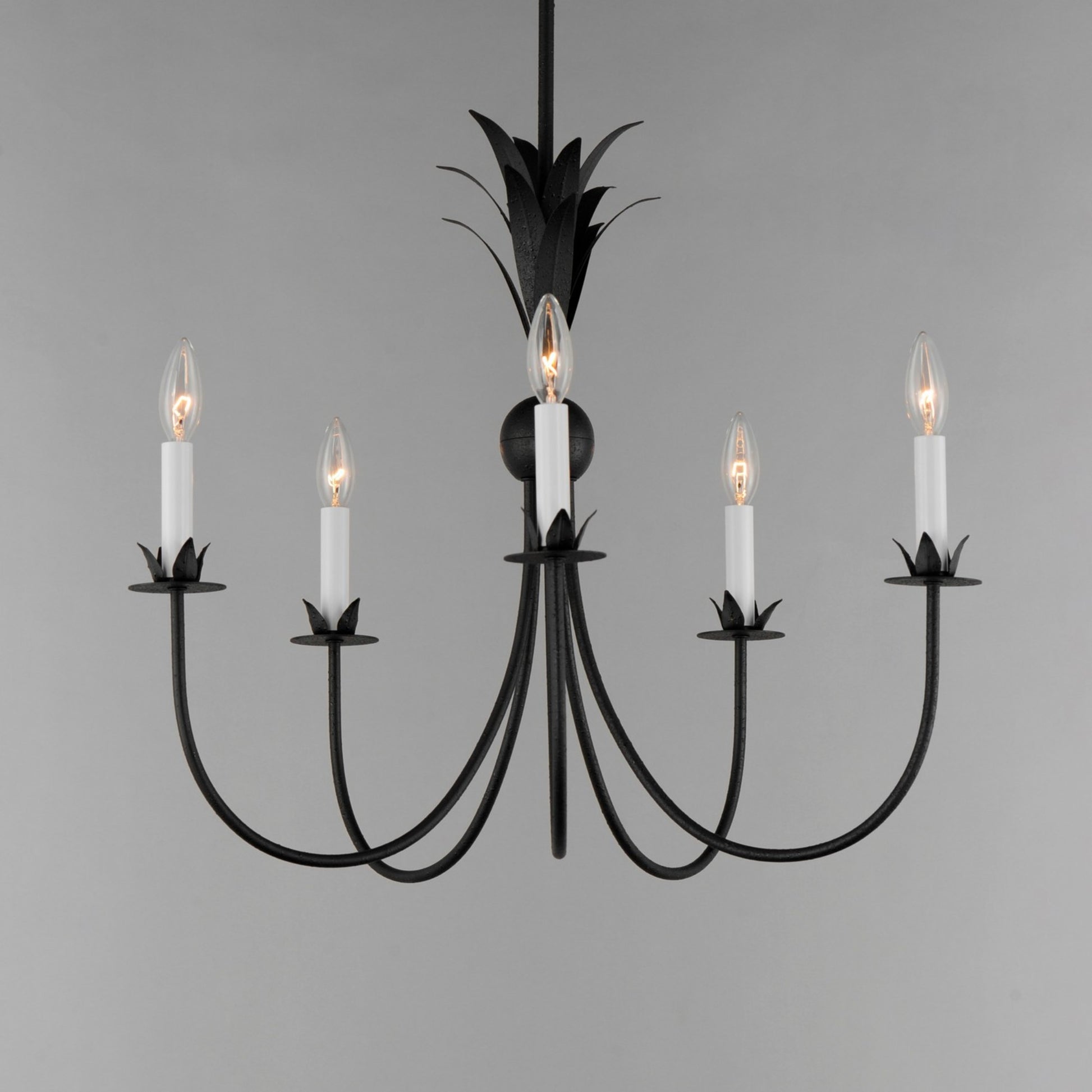 Paloma 26" 5 Lights Chandelier, Black Finish - Bees Lighting