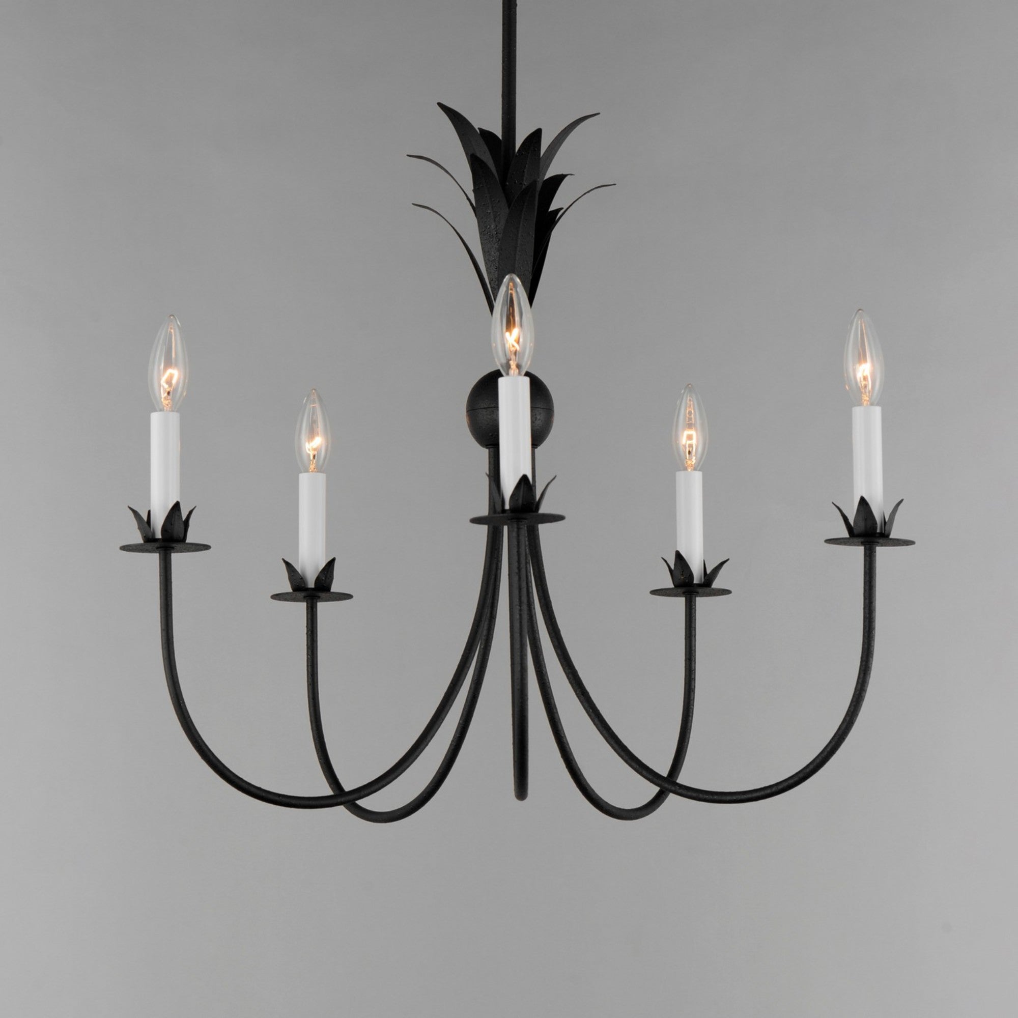 Paloma 26" 5 Lights Chandelier, Black Finish - Bees Lighting