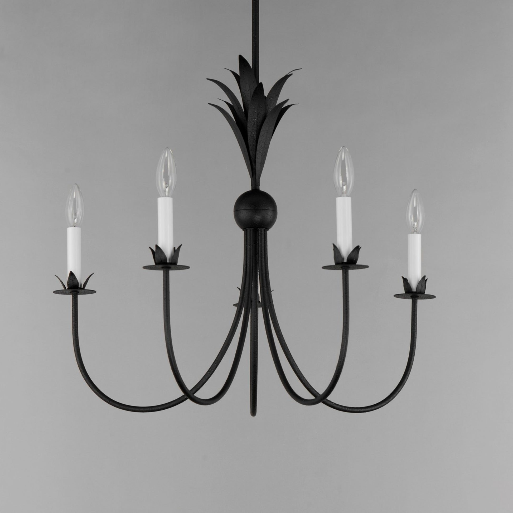 Paloma 26" 5 Lights Chandelier, Black Finish - Bees Lighting
