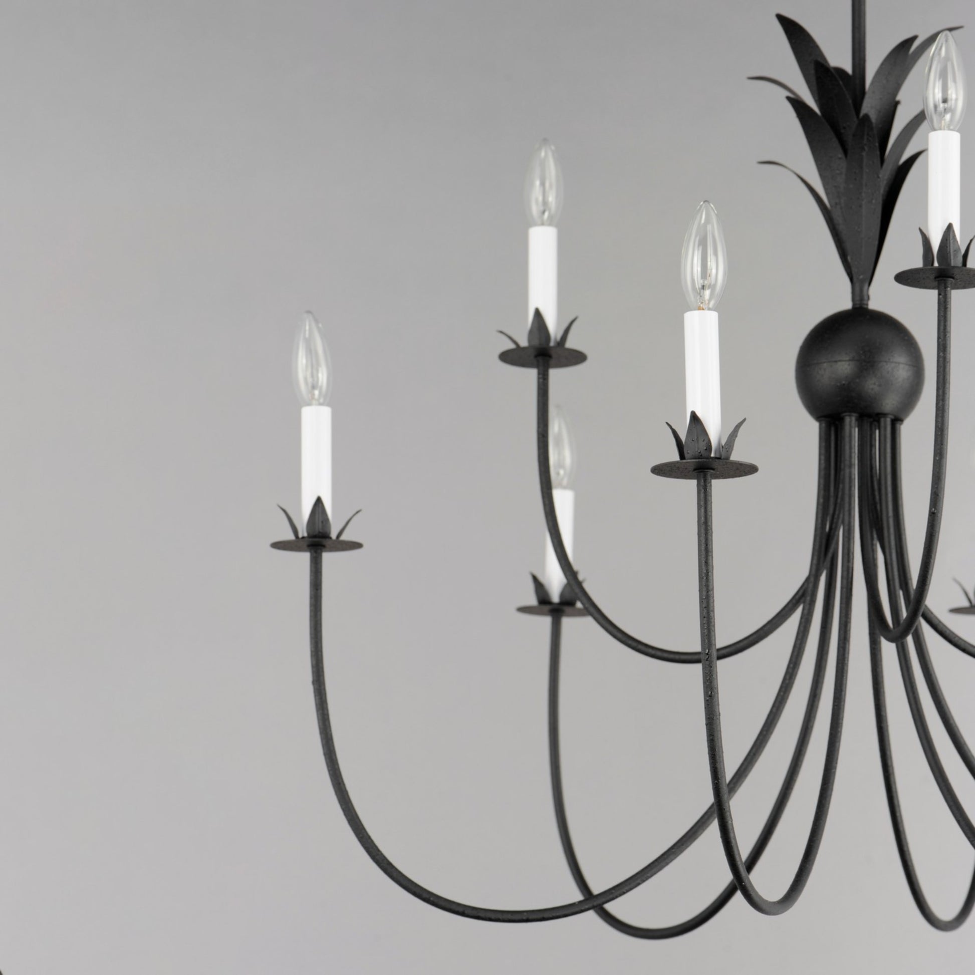 Paloma 36" 9 Lights Chandelier, Black Finish - Bees Lighting