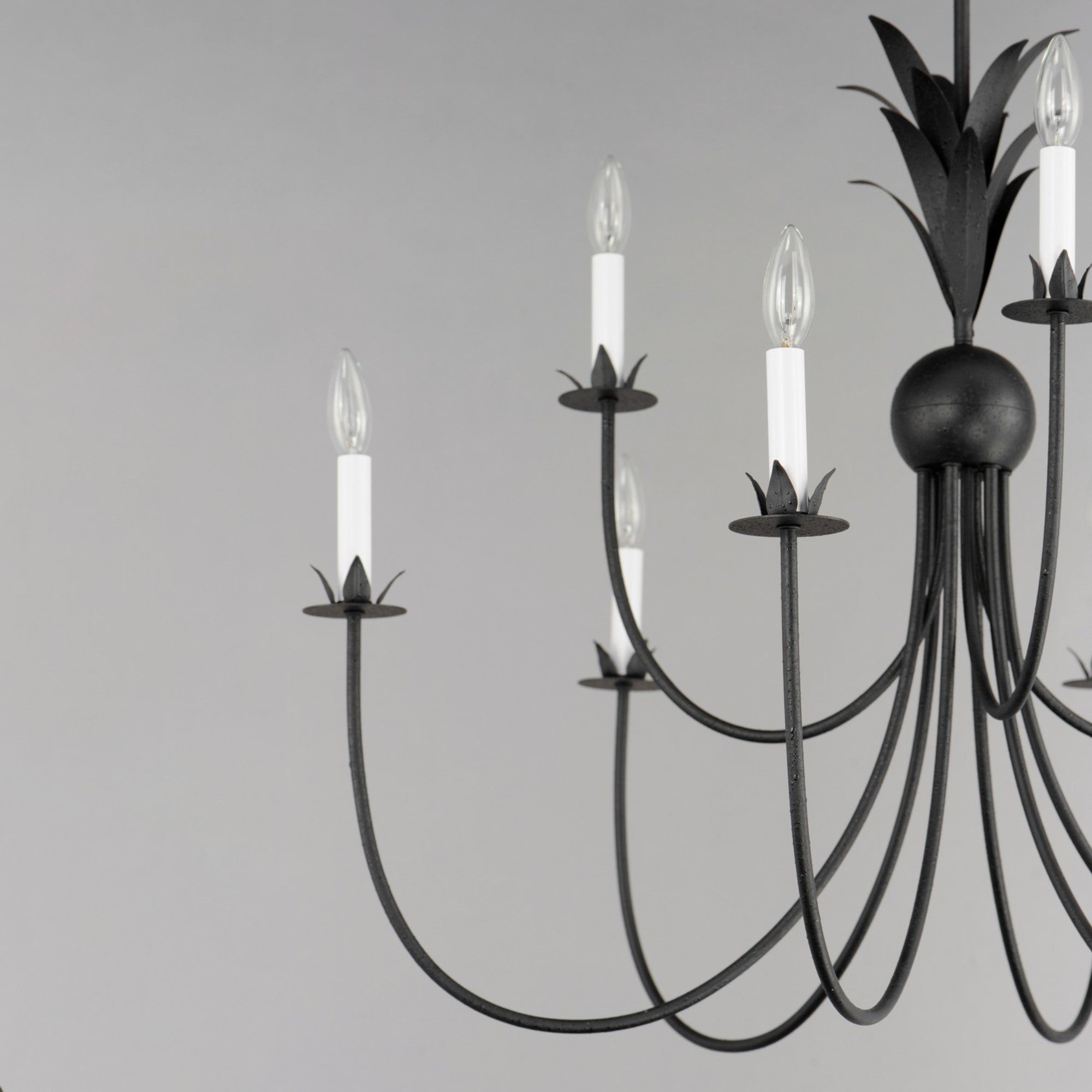 Paloma 36" 9 Lights Chandelier, Black Finish - Bees Lighting