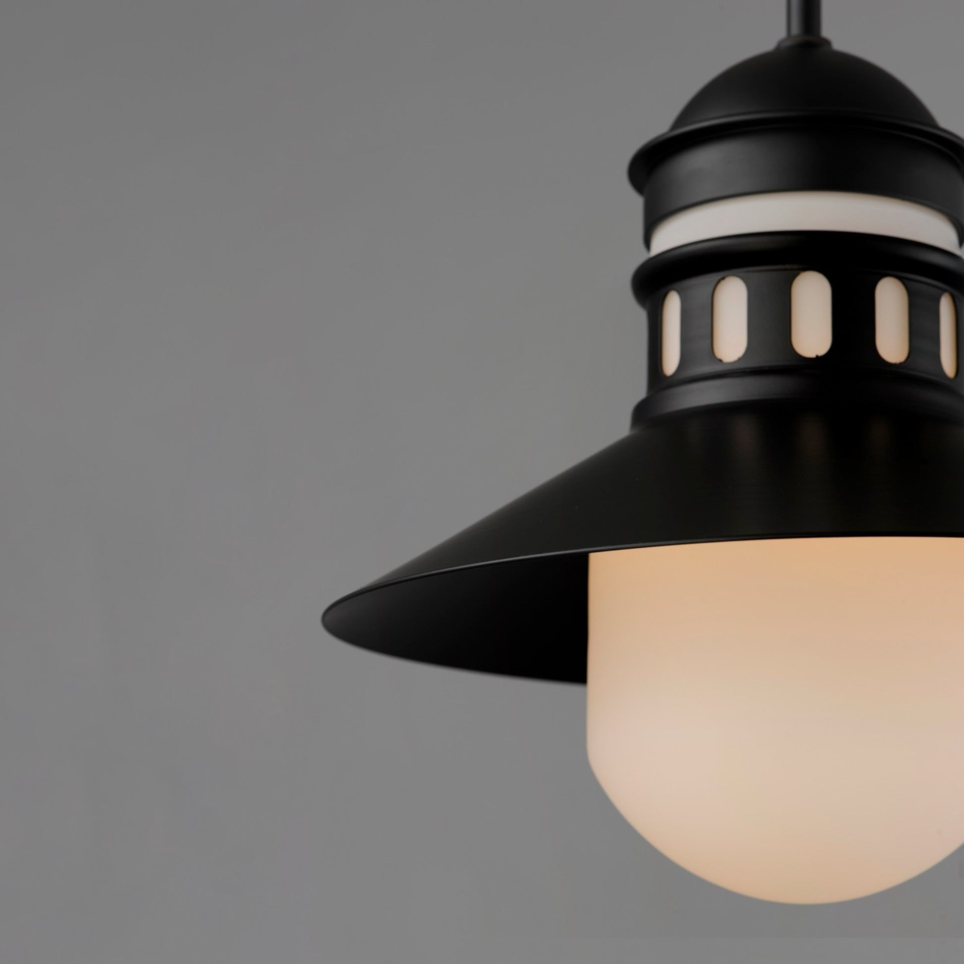 Admiralty 12" Outdoor Pendant, Black Finish - Bees Lighting