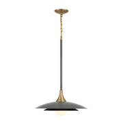 Welsh LED Pendant Light - Bees Lighting