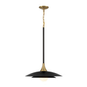 Welsh LED Pendant Light - Bees Lighting
