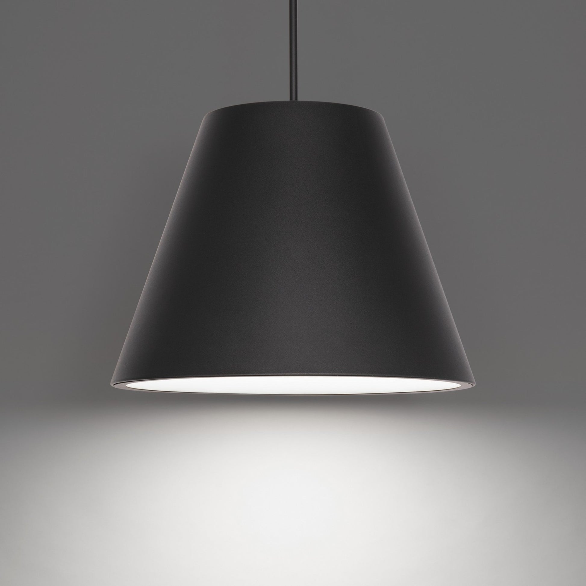 Myla 20" LED Outdoor Pendant, 3500K, Black Finish - Bees Lighting