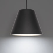 Myla 20" LED Outdoor Pendant, 4000K, Black Finish - Bees Lighting