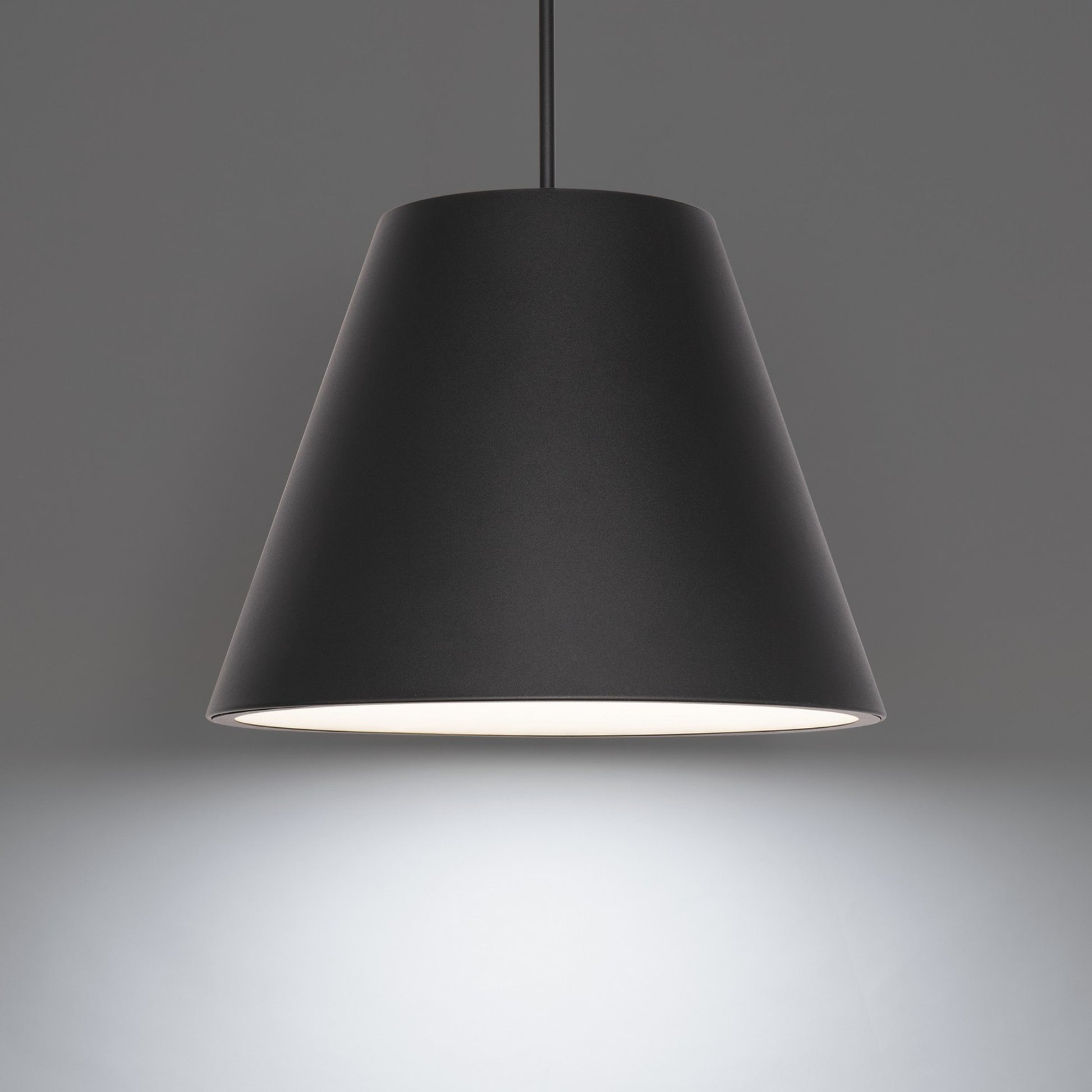 Myla 20" LED Outdoor Pendant, 4000K, Black Finish - Bees Lighting