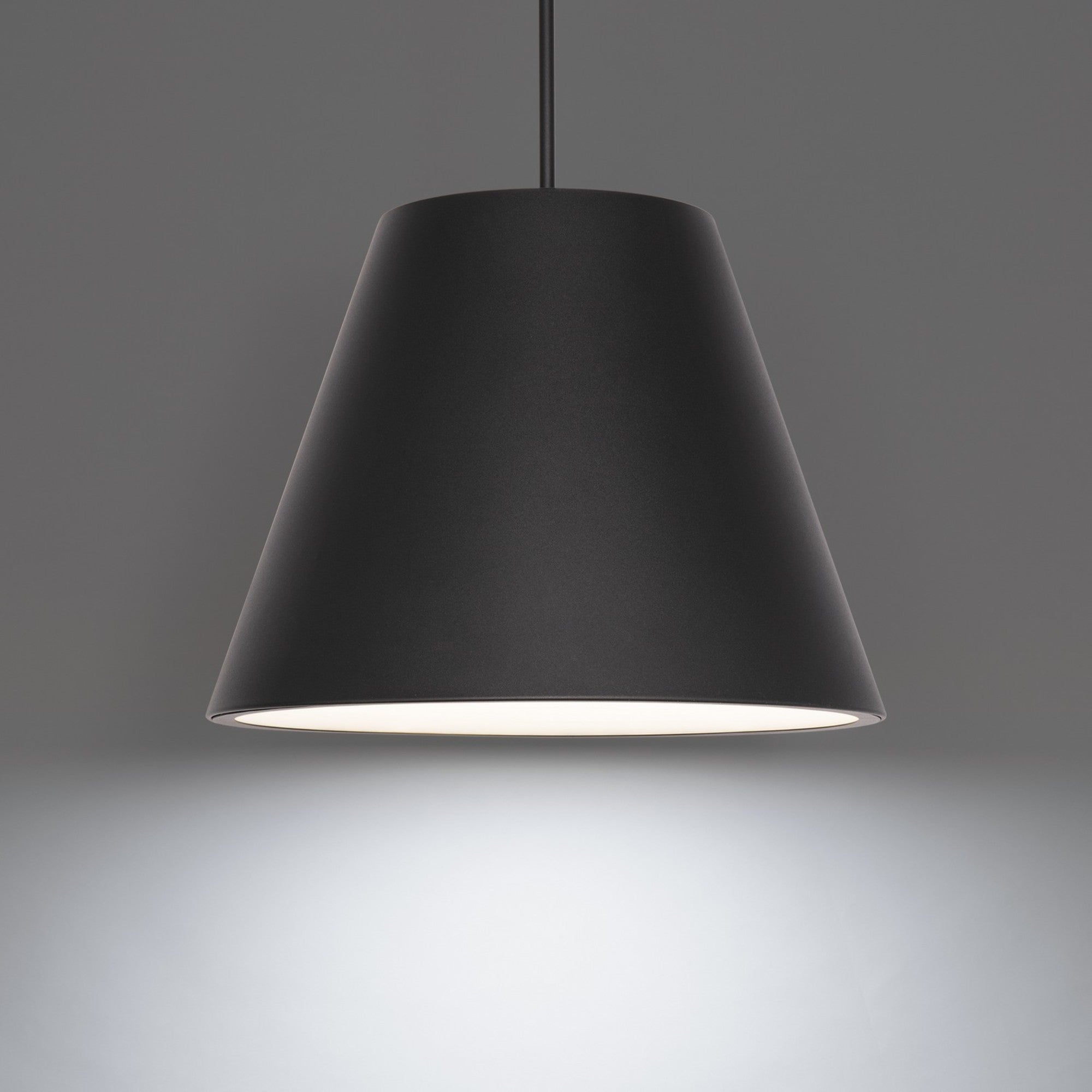 Myla 20" LED Outdoor Pendant, 4000K, Black Finish - Bees Lighting
