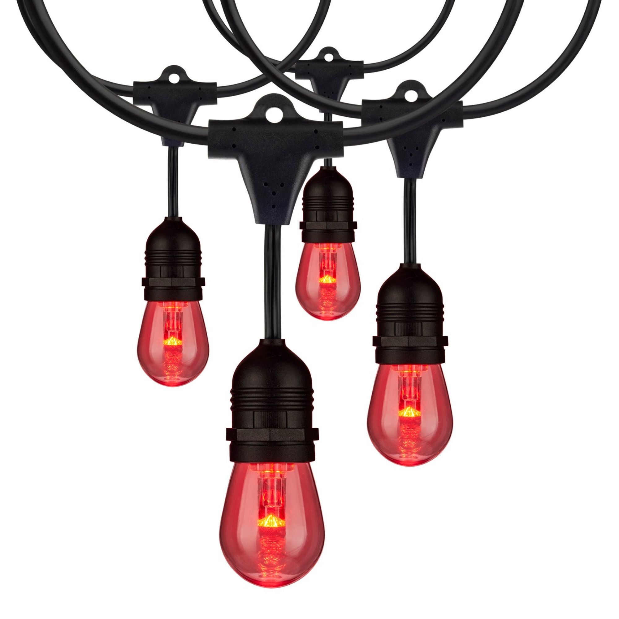 Indoor/Outdoor 48 Feet LED String Light with Remote, 15-LED Bulbs, RGBTW - Bees Lighting
