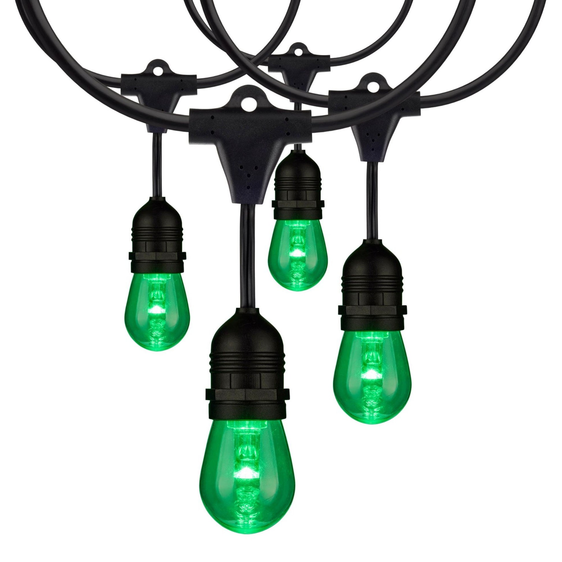Indoor/Outdoor 48 Feet LED String Light with Remote, 15-LED Bulbs, RGBTW - Bees Lighting