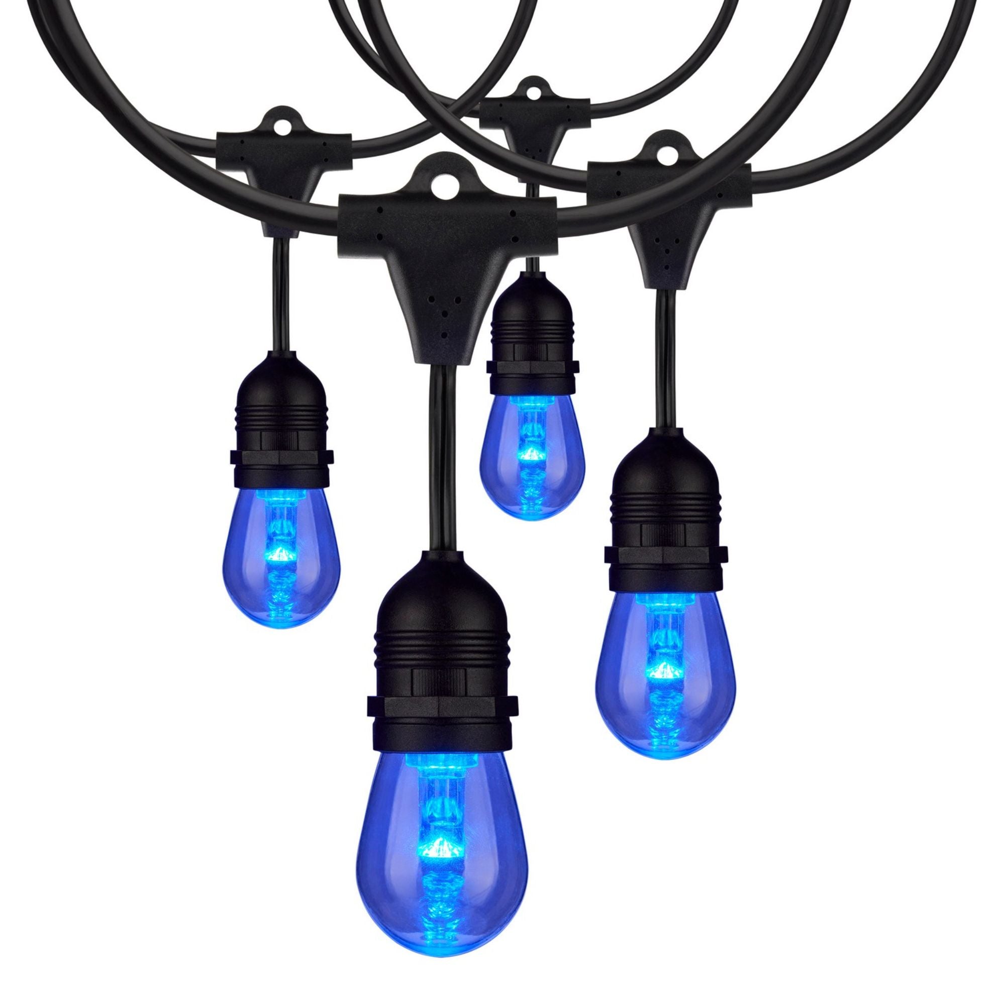 Indoor/Outdoor 48 Feet LED String Light with Remote, 15-LED Bulbs, RGBTW - Bees Lighting