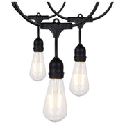 Indoor/Outdoor 24 Feet String Light, 12 Vintage ST19 bulbs, 2200K - Bees Lighting