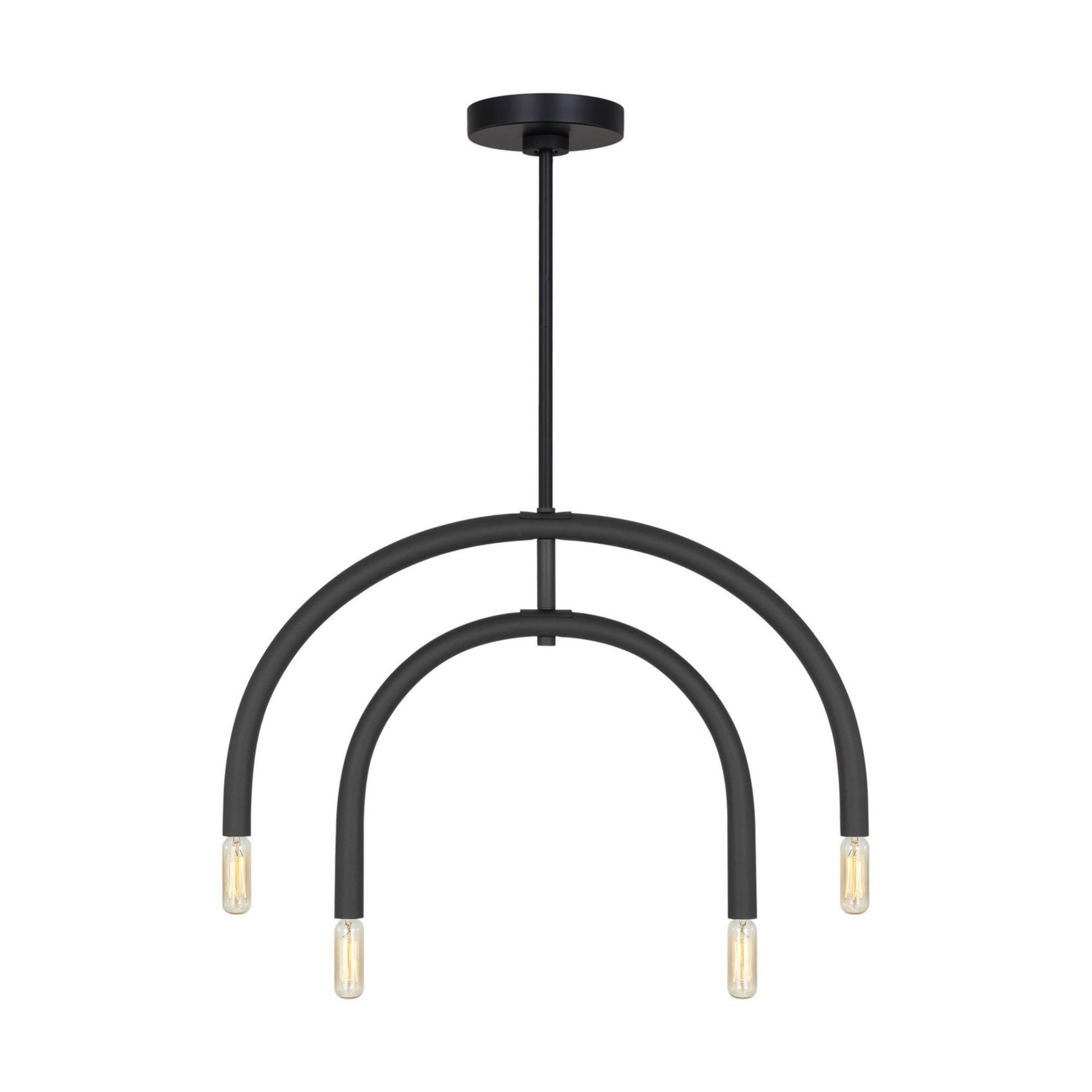 Hadden 28" 4-Light Medium Chandelier, Midnight Black Finish - Bees Lighting