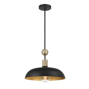 Biloxi Pendant Light - Bees Lighting