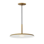 Berliner LED Pendant - Bees Lighting