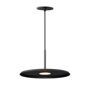 Berliner LED Pendant - Bees Lighting