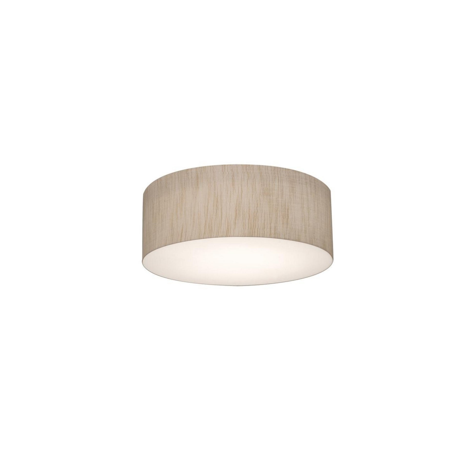 Anton 12" 2-Light Flush Mount, Jute Finish - Bees Lighting