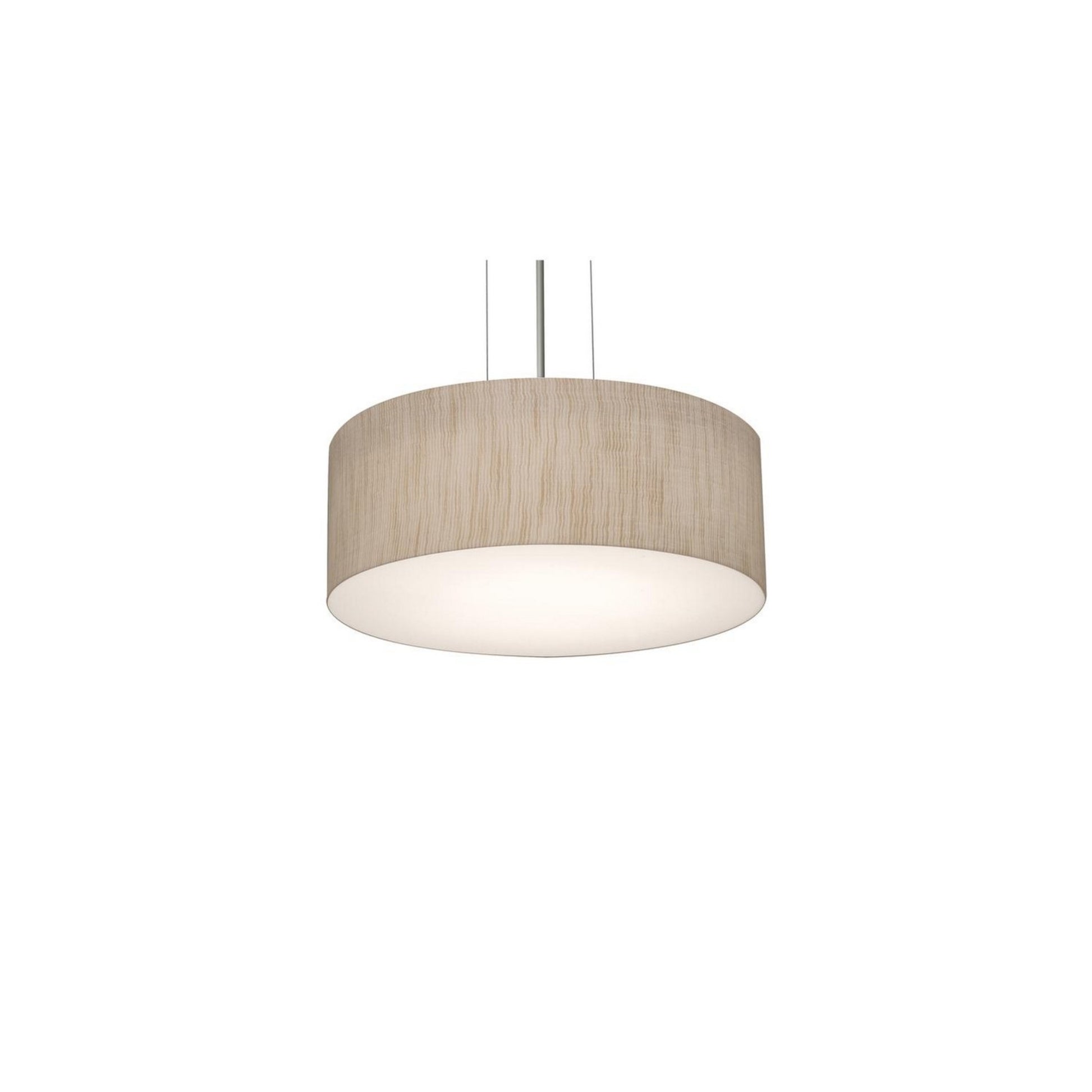 Anton 12" 2-Light Pendant, Satin Nickel & Jute Finish - Bees Lighting