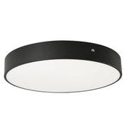 Bailey 30" LED Flush Mount, Black Finish, Battery Backup - Bees Lighting