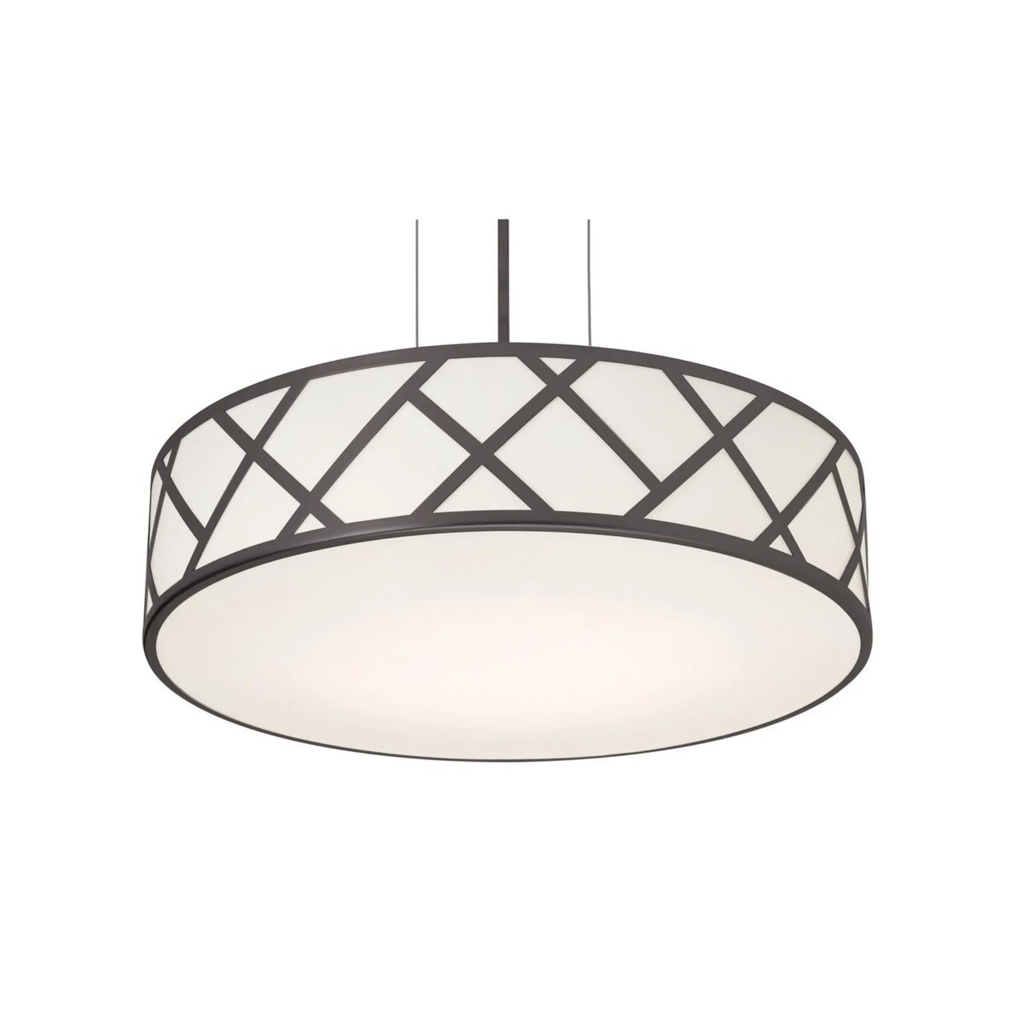 Haven 21" LED Pendant, Black Finish - Bees Lighting