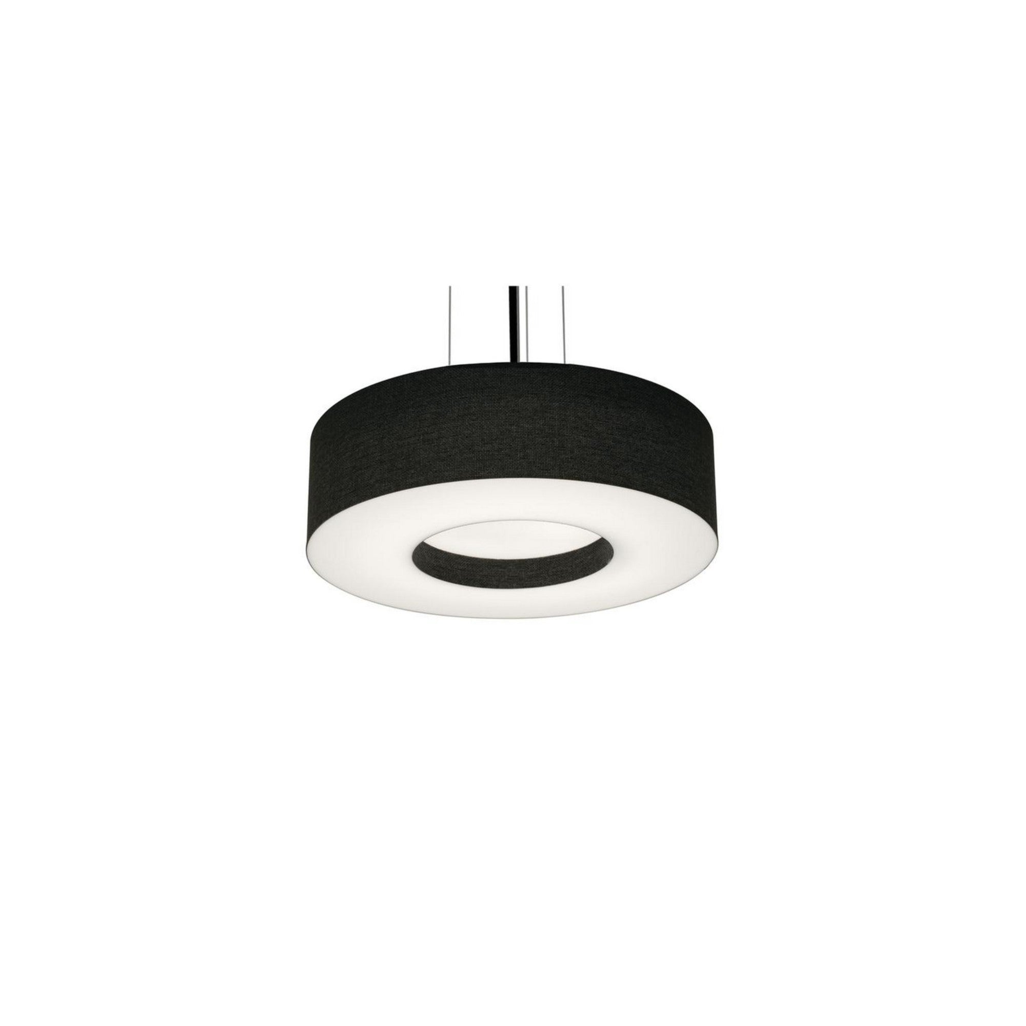 Montclair 12" 2-Light Pendant, Black Finish & Black Shade - Bees Lighting