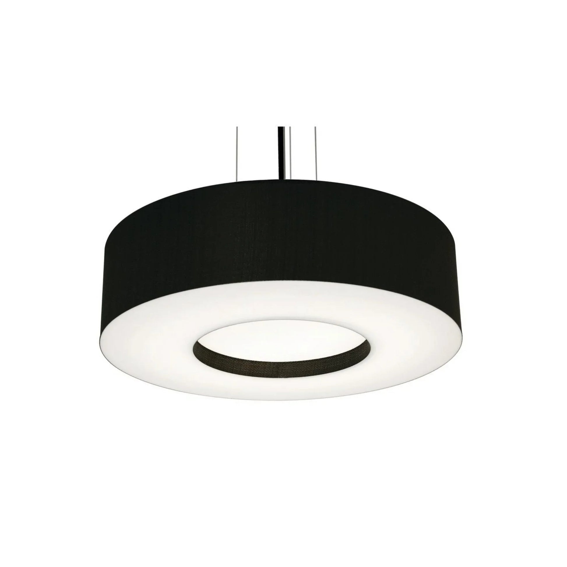 Montclair 19" LED Pendant, Black Finish & Black Shade - Bees Lighting