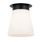 Albers Flush Mount Light - Bees Lighting