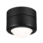 Tibbi Flush Mount Light - Bees Lighting