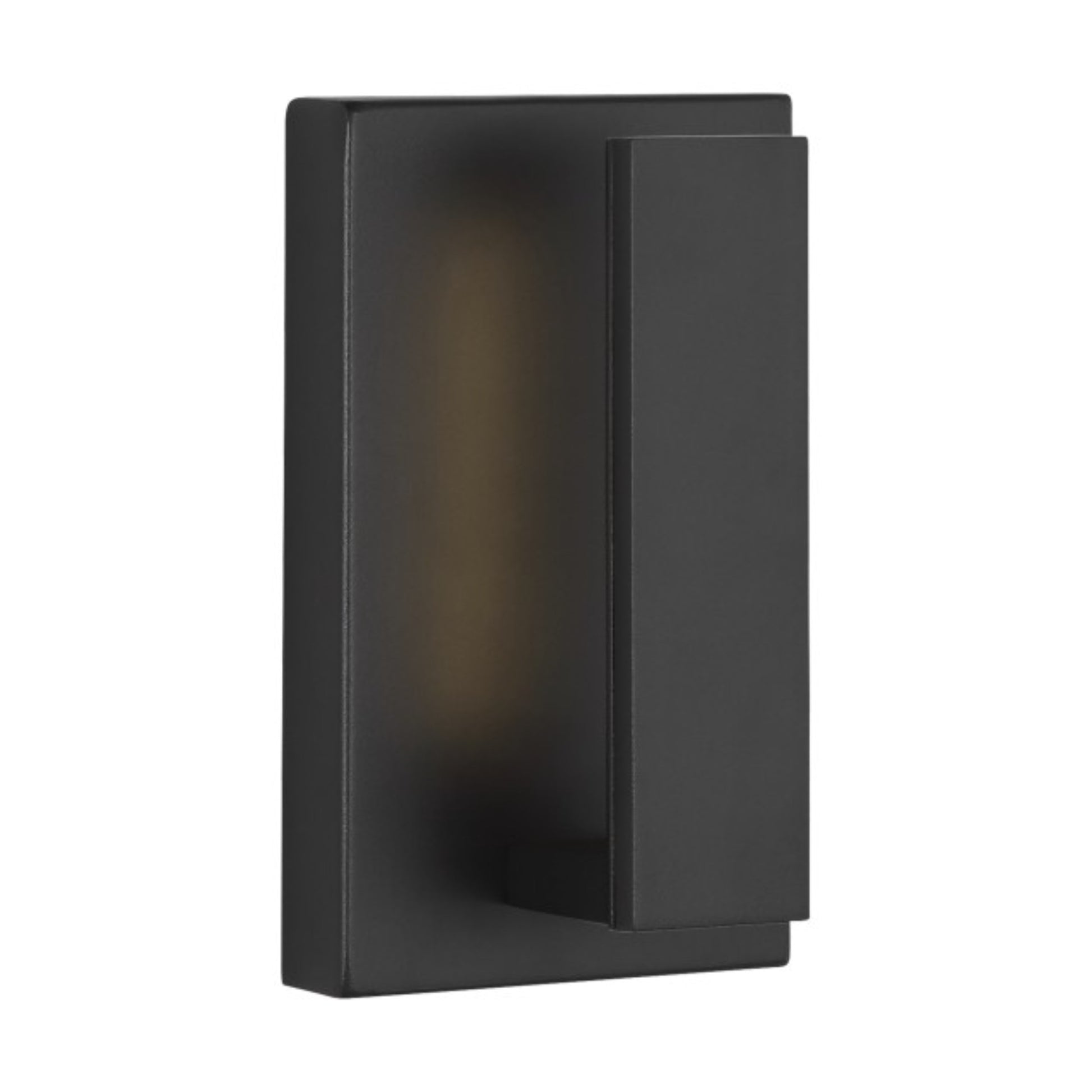 Nate 9" LED Outdoor Wall Light, Black Finish - Bees Lighting