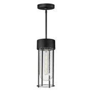 Millennial 15" Outdoor Pendant, Black Finish - Bees Lighting