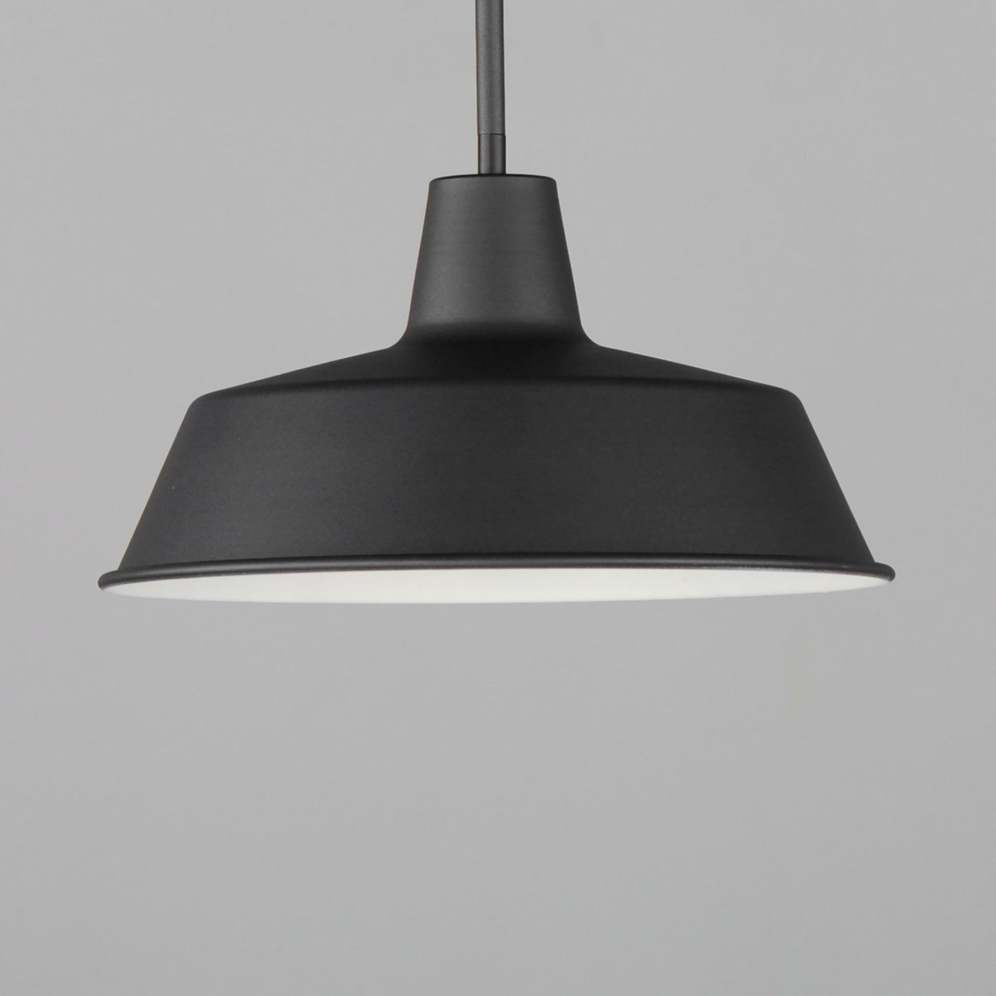 Pier M 14" Pendant, Black Finish - Bees Lighting