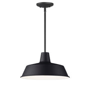 Pier M 14" Pendant, Black Finish - Bees Lighting